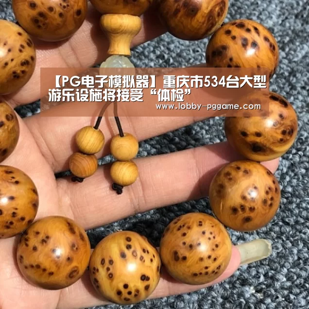 【PG电子模拟器】重庆市534台大型游乐设施将接受“体检”