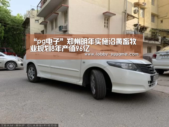“pg电子”郑州明年实施沿黄畜牧业规划8年产值96亿(图3) PG模拟器