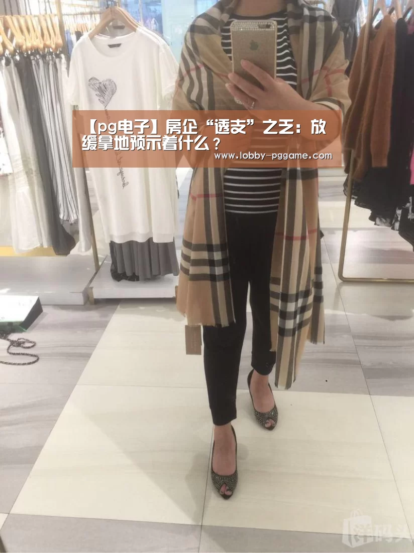 【pg电子】房企“透支”之乏:放缓拿地预示着什么?(图3) PG模拟器