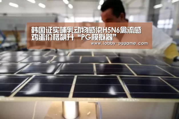 韩国证实哺乳动物感染H5N6禽流感 鸡蛋价格飙升“PG模拟器