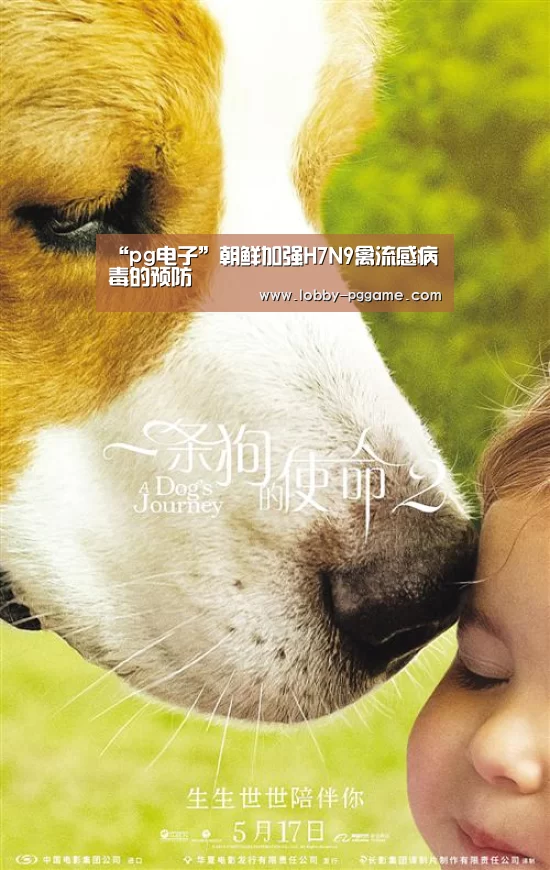 “pg电子”朝鲜加强H7N9禽流感病毒的预防(图1) PG试玩