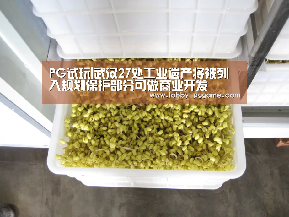 pg电子
