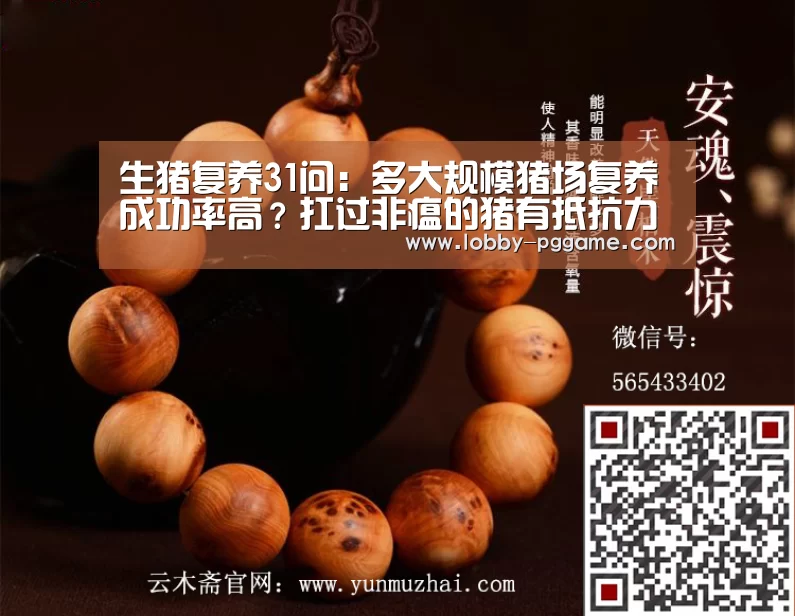 生猪复养31问:多大规模猪场复养成功率高?扛过非瘟的猪有抵抗力吗?_pg电子(图2) PG电子模拟器