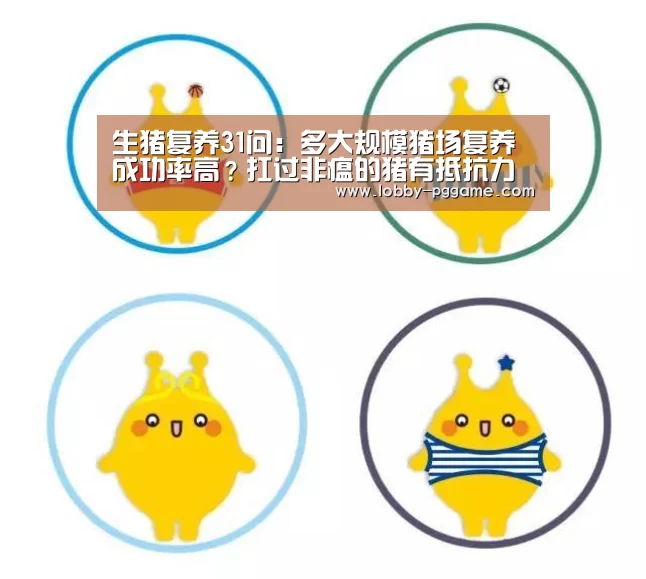 生猪复养31问：多大规模猪场复养成功率高？扛过非瘟的猪有抵抗
