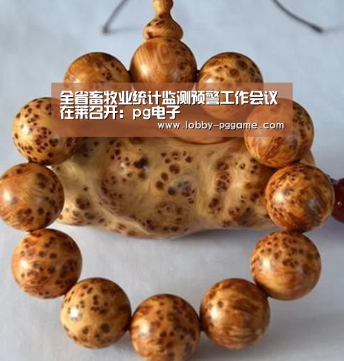 pg电子