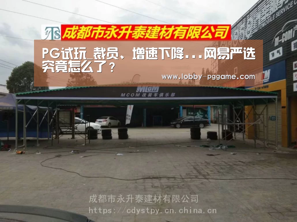PG试玩_裁员、增速下降...网易严选究竟怎么了?(图2) PG试玩