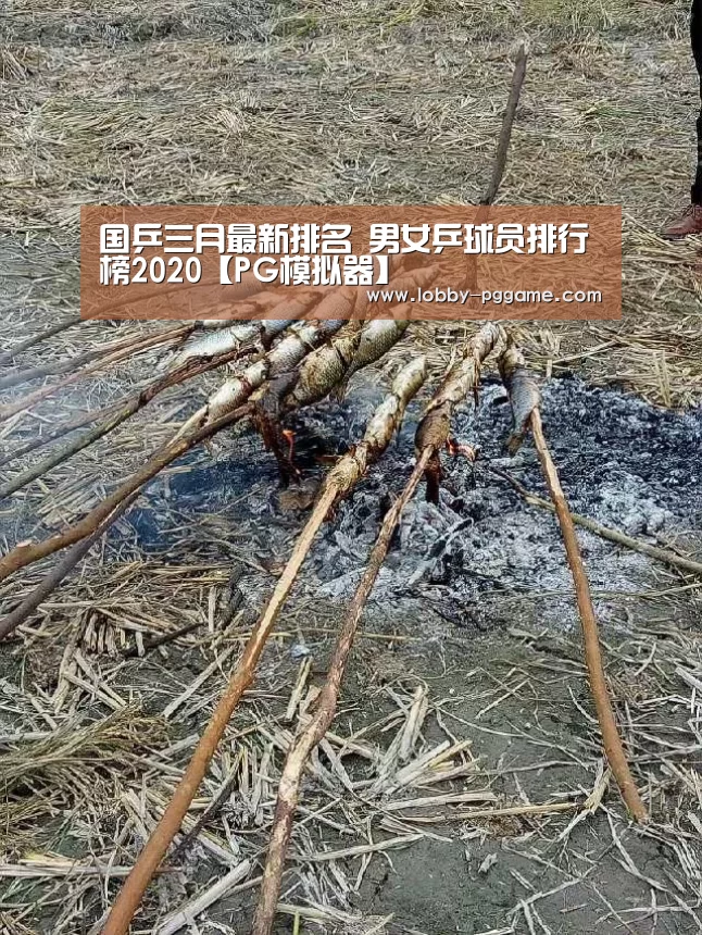 国乒三月最新排名 男女乒球员排行榜2020【PG模拟器】(图3) PG模拟器