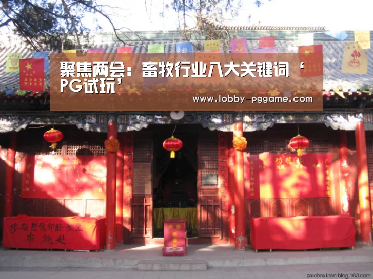 PG电子模拟器