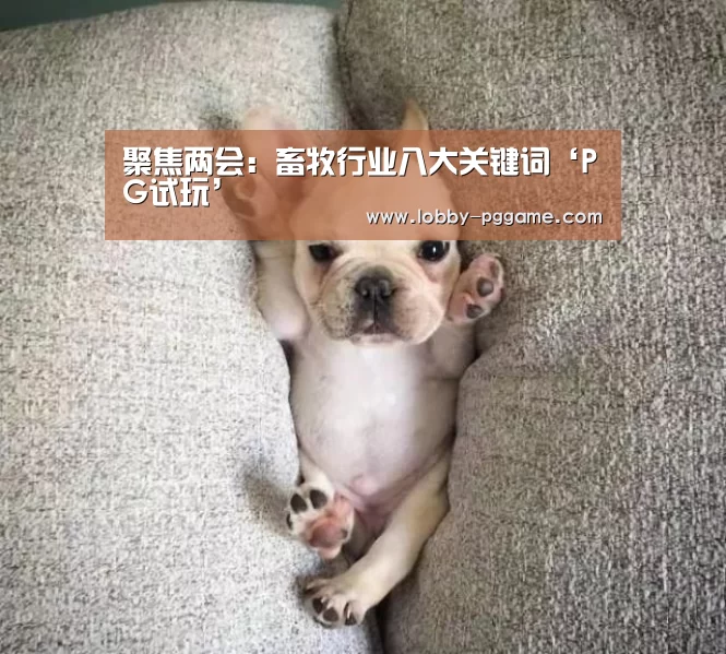 PG试玩