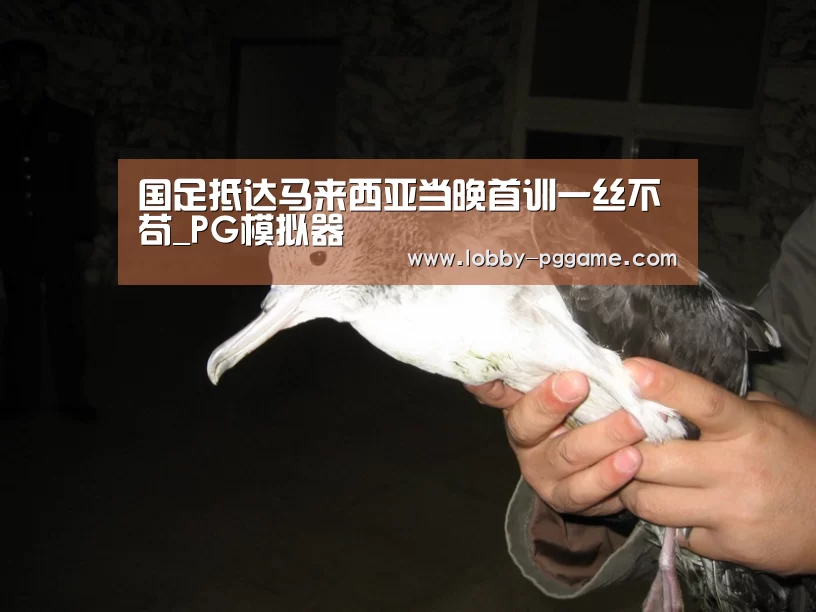 国足抵达马来西亚当晚首训一丝不苟_PG模拟器(图4) PG电子模拟器