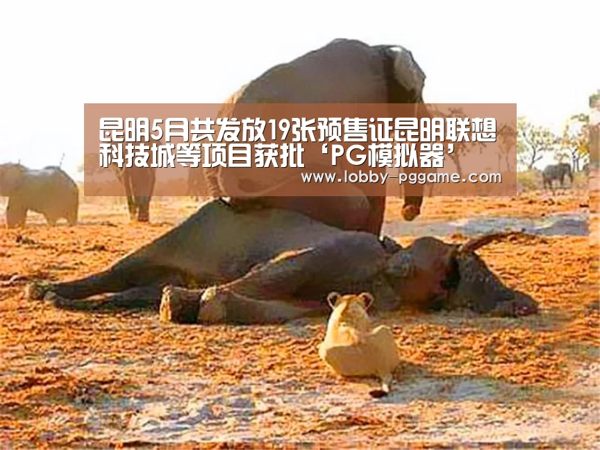 昆明5月共发放19张预售证昆明联想科技城等项目获批‘PG模拟