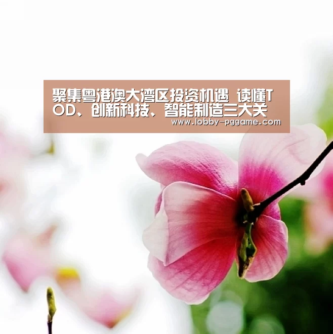 聚集粤港澳大湾区投资机遇 读懂TOD、创新科技、智能制造三大