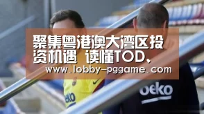 PG模拟器