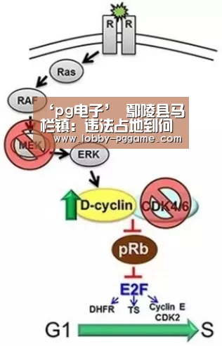 ‘pg电子’
鄢陵县马栏镇:违法占地到何时?(图1) PG试玩