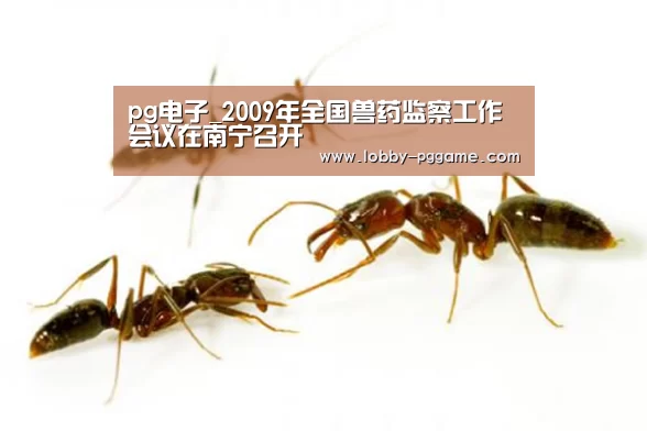 pg电子_2009年全国兽药监察工作会议在南宁召开(图3) pg电子