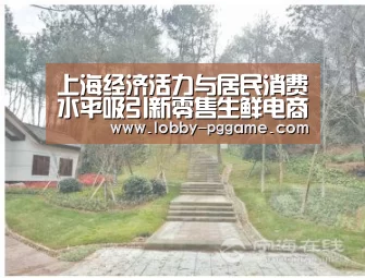 PG模拟器