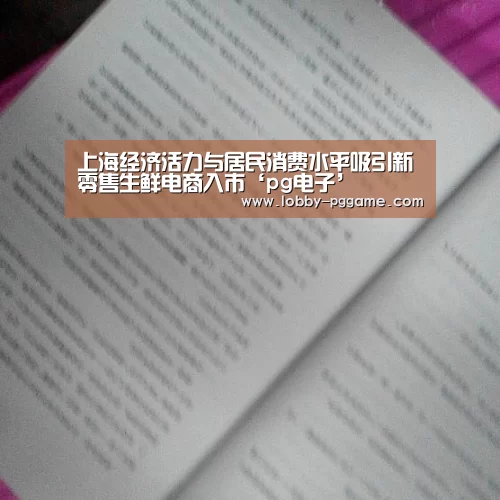 PG模拟器
